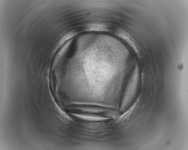 X0000098181033200805081019