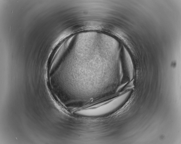 X0000098181034200805081019