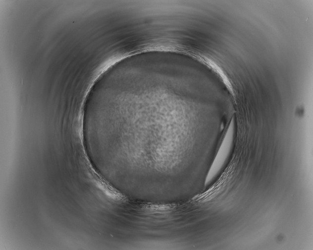 X0000098181035200805081019