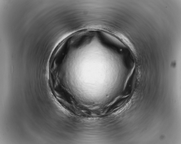 X0000098181036200805081019