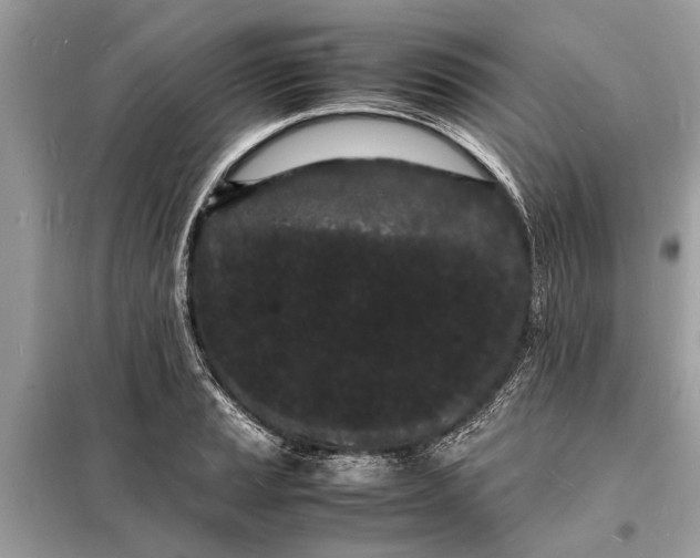 X0000098181037200805081020