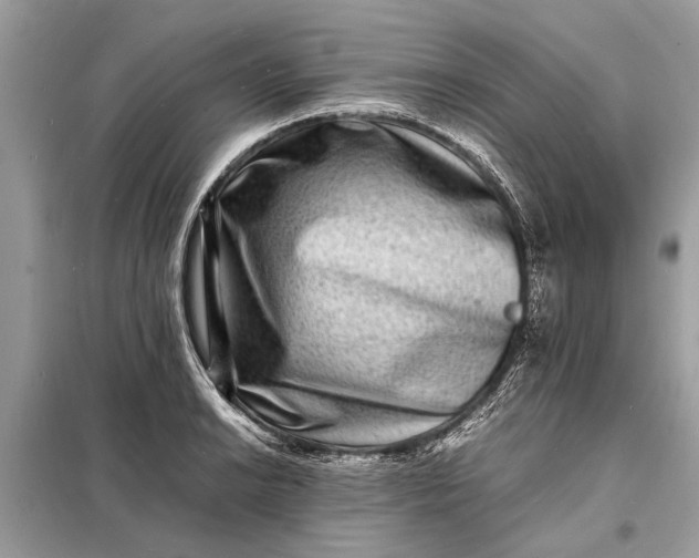 X0000098181038200805081020