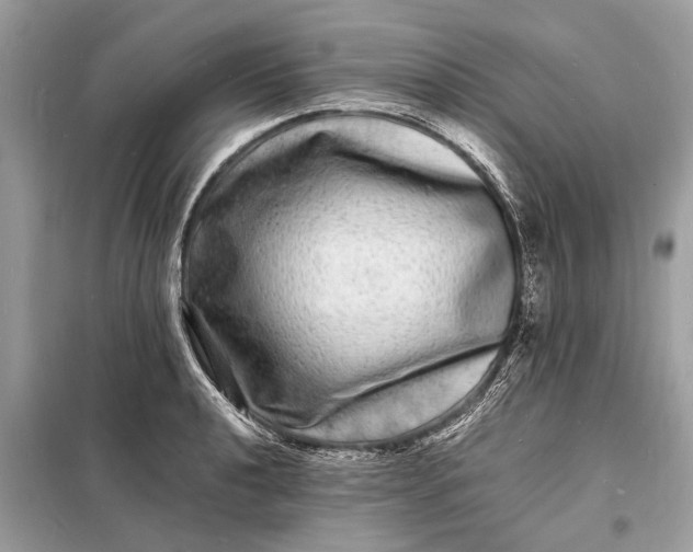 X0000098181040200805081020