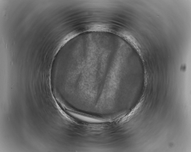 X0000098181041200805081020