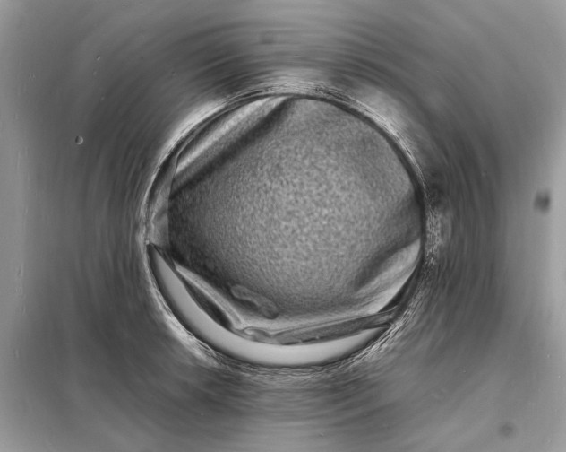 X0000098181042200805081020