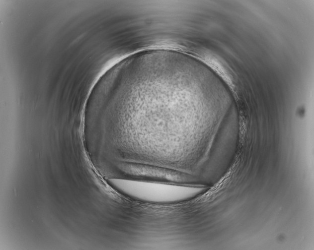 X0000098181044200805081020