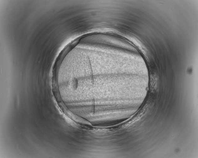 X0000098181046200805081020