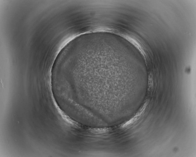 X0000098181047200805081020