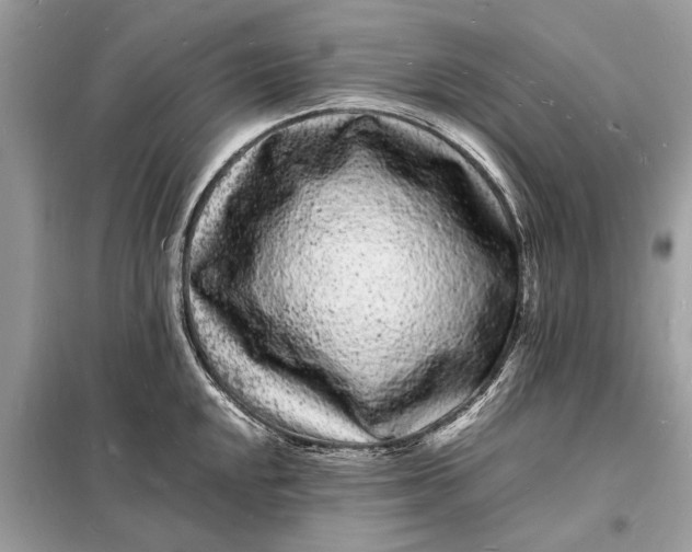 X0000098181048200805081020