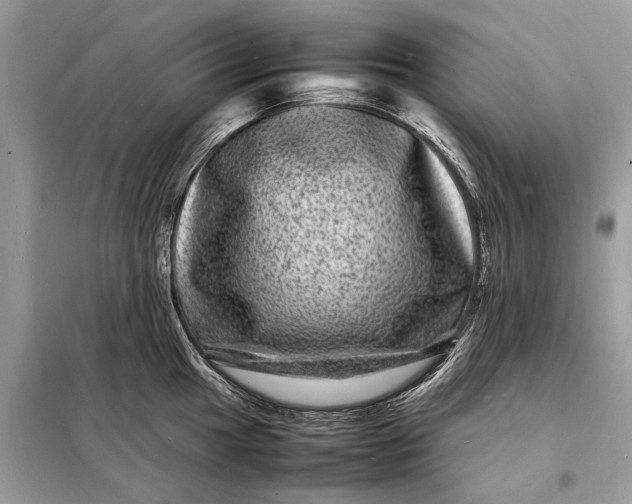 X0000098181049200805081020