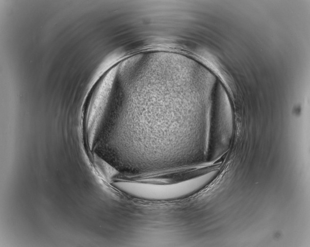 X0000098181050200805081020