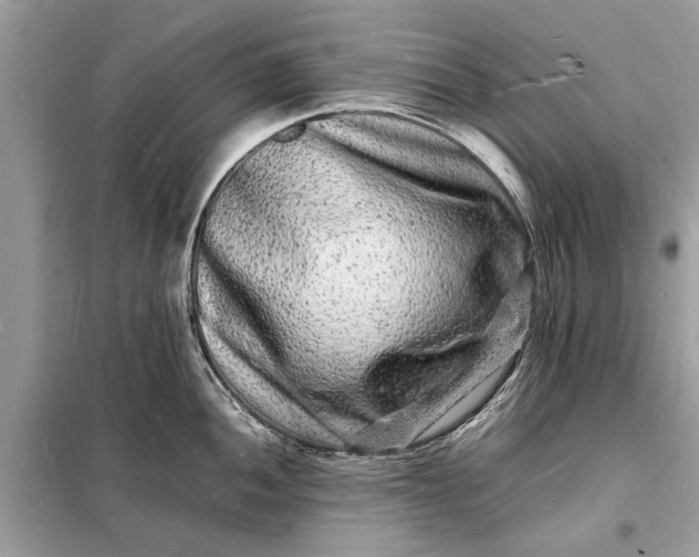 X0000098181052200805081020