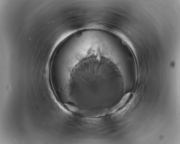 X0000098181053200805081020