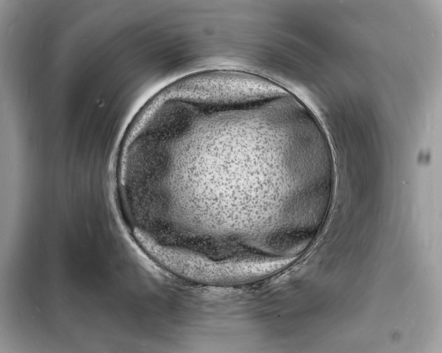 X0000098181056200805081020