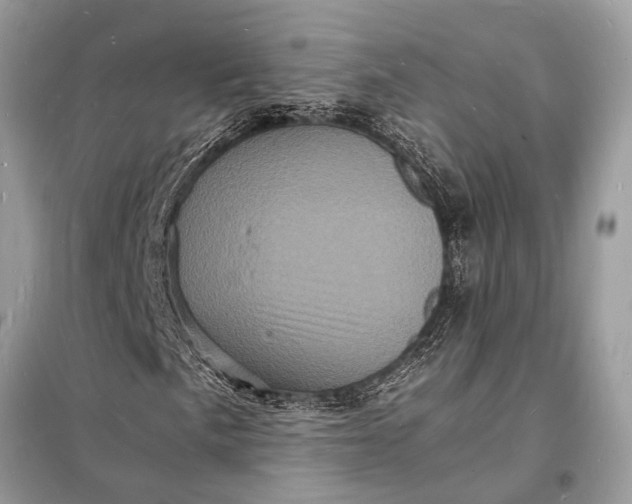 X0000098181057200805081019