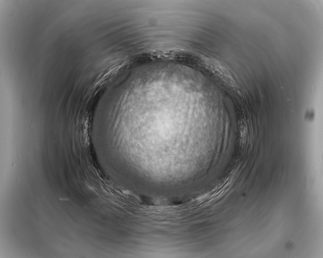 X0000098181060200805081019