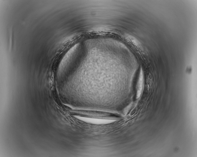 X0000098181062200805081019