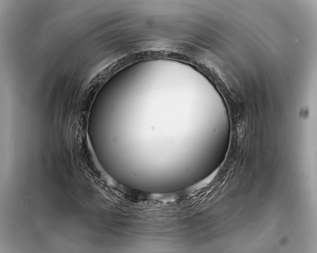 X0000098181064200805081019