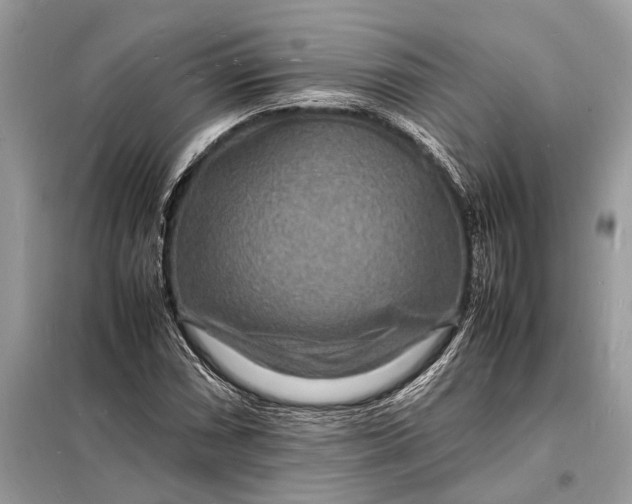 X0000098181066200805081019