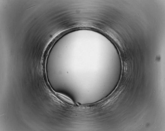 X0000098181068200805081019