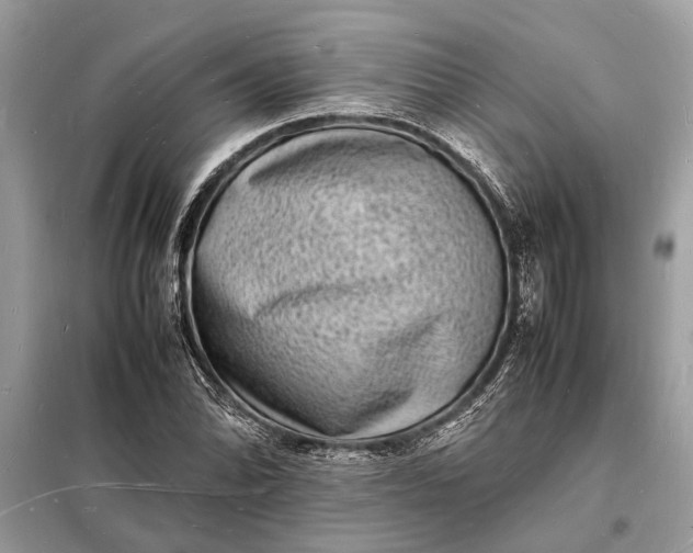 X0000098181070200805081019