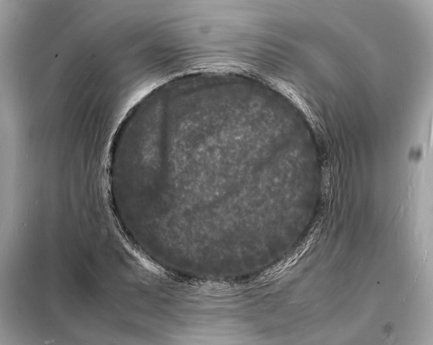 X0000098181071200805081019