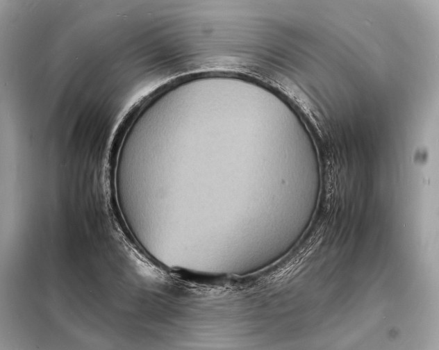 X0000098181072200805081019