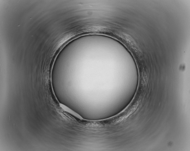 X0000098181073200805081019