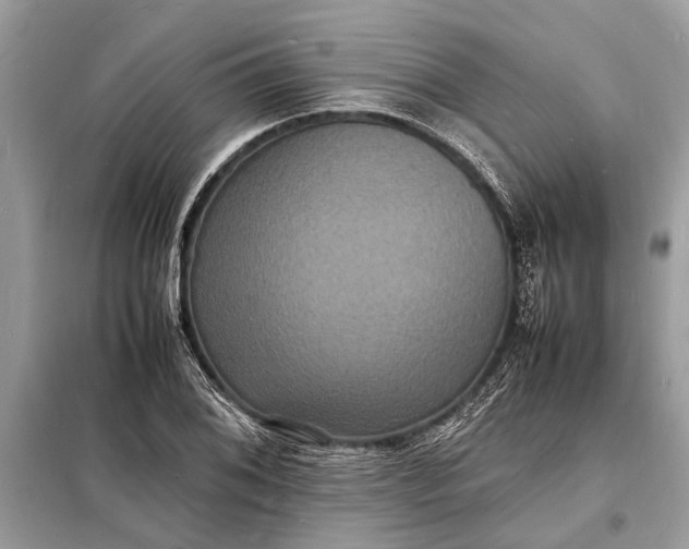 X0000098181076200805081019