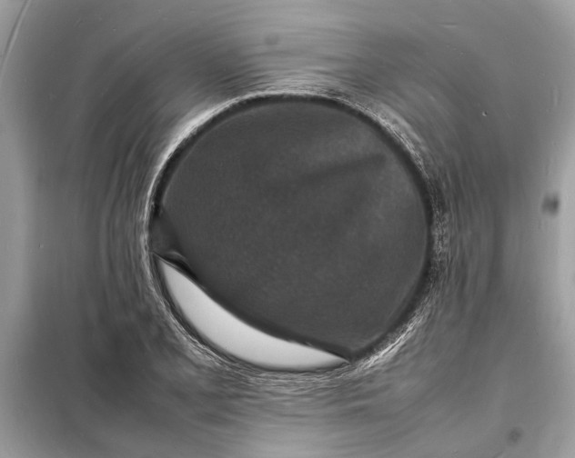 X0000098181077200805081019