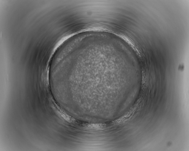 X0000098181078200805081019