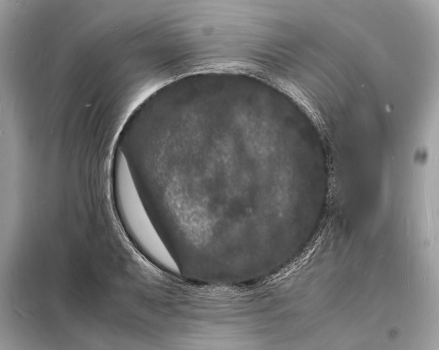 X0000098181079200805081019