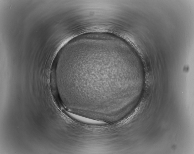 X0000098181081200805081019