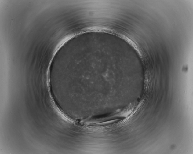 X0000098181082200805081019