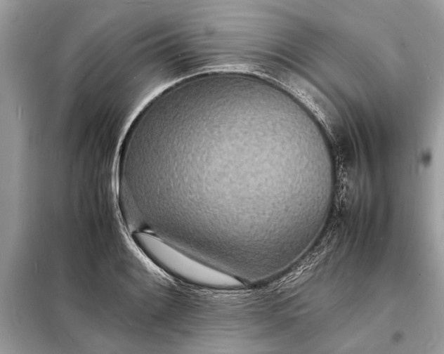 X0000098181084200805081019