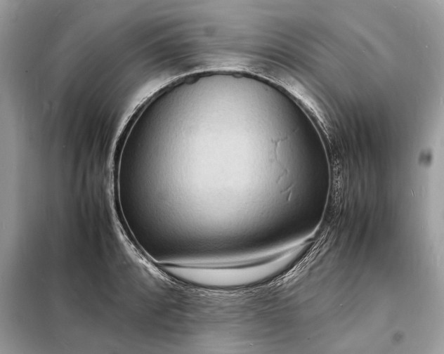 X0000098181088200805081019