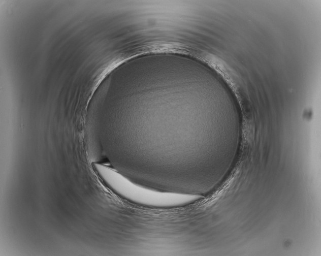 X0000098181089200805081019