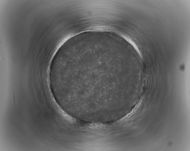 X0000098181091200805081019