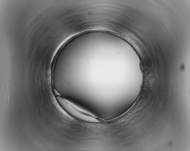 X0000098181092200805081019