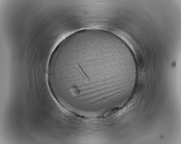 X0000098181093200805081019