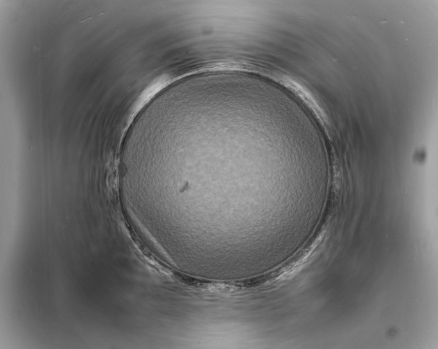 X0000098181097200805081019