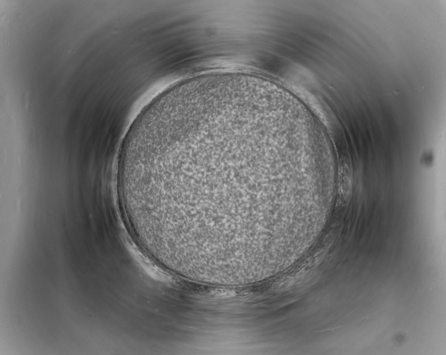 X0000098181098200805081018