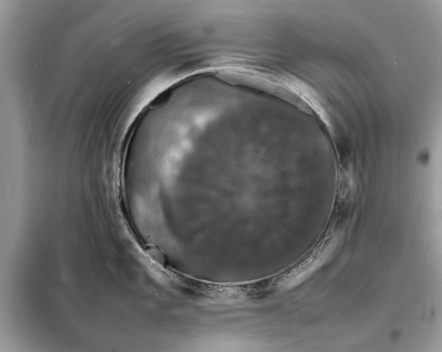 X0000098181101200805081018