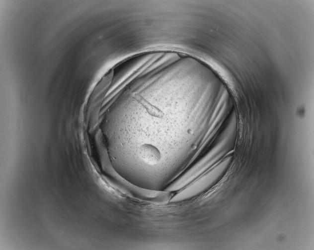 X0000098181102200805081018