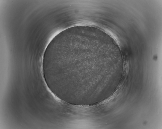 X0000098181103200805081018