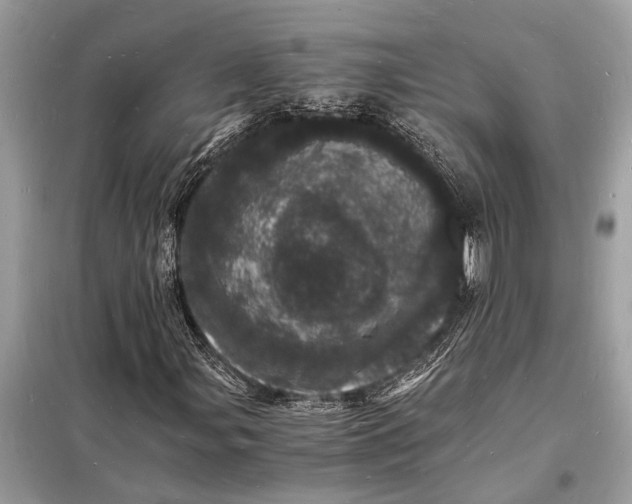 X0000098181107200805081018