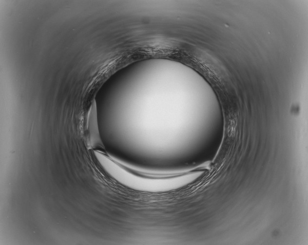 X0000098181108200805081018