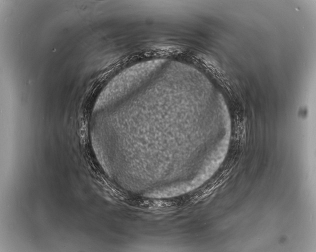 X0000098181109200805081018