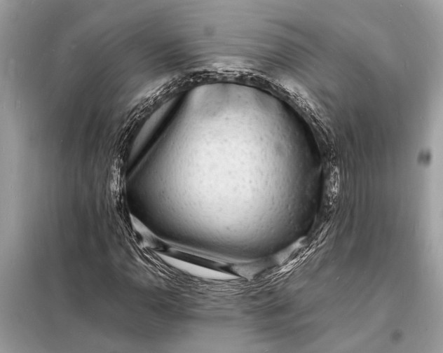 X0000098181110200805081018