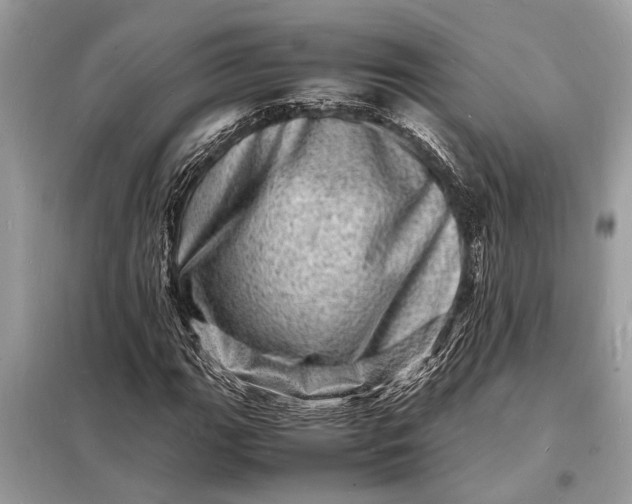 X0000098181111200805081018